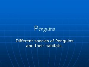 Penguins Different species of Penguins and their habitats