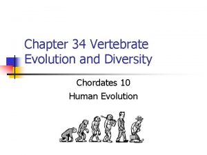 Chapter 34 Vertebrate Evolution and Diversity Chordates 10