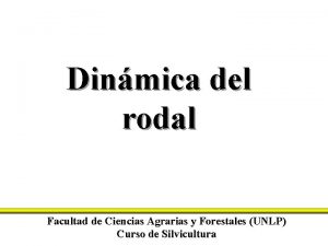 Dinmica del rodal Facultad de Ciencias Agrarias y