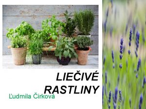 LIEIV RASTLINY udmila irkov LIEIV RASTLINY udia u