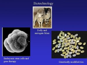 Biotechnology Dolly and surrogate Mom Embryonic stem cells