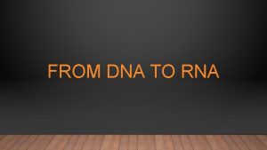 FROM DNA TO RNA RNA RNA ribonucleic acid