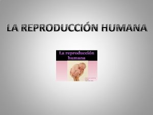 LA REPRODUCCIN HUMANA La funcin de reproduccin Permite