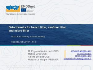 Data formats for beach litter seafloor litter and
