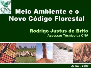 Meio Ambiente e o Novo Cdigo Florestal Rodrigo