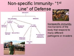 Nonspecific Immunity 1 st Line of Defense Nonspecific