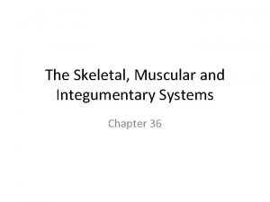 The Skeletal Muscular and Integumentary Systems Chapter 36