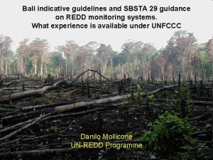 Bali indicative guidelines and SBSTA 29 guidance on