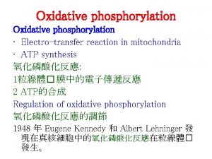 Oxidative phosphorylation Electrotransfer reaction in mitochondria ATP synthesis