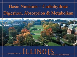Basic Nutrition Carbohydrate Digestion Absorption Metabolism Outline Dietary