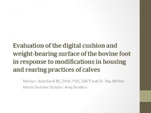 Evaluation of the digital cushion and weightbearing surface