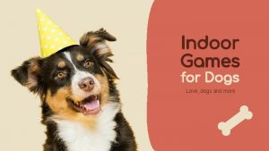 Indoor Games for Dogs Love dogs and more
