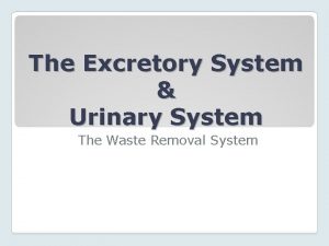 The Excretory System Urinary System The Waste Removal