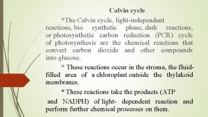Calvin cycle The Calvin cycle lightindependent reactions bio Calvin cycle The Calvin cycle lightindependent reactions bio