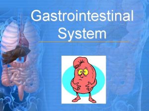 Gastrointestinal System Introduction Digestive tract runs from mouth