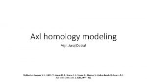 Axl homology modeling Mgr Juraj Dobia Mollard A