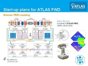 Startup plans for ATLAS FWD Remote TREX meeting