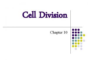 Cell Division Chapter 10 Why do cells divide