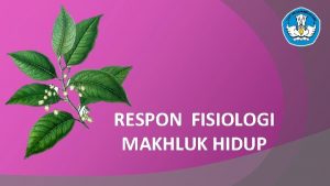 RESPON FISIOLOGI MAKHLUK HIDUP GERAK PADA TUMBUHAN DAN