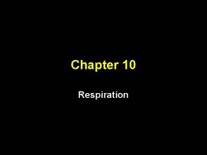 Chapter 10 Respiration Objectives Students should be able