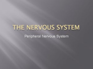 THE NERVOUS SYSTEM Peripheral Nervous System PNS Composed