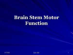 Brain Stem Motor Function 1172022 brain stem 1