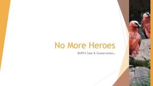 No More Heroes BI 4914 Zoos Conservation Learning