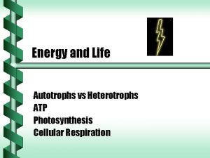 Energy and Life Autotrophs vs Heterotrophs ATP Photosynthesis