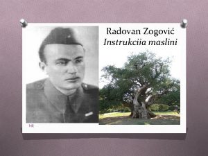 Radovan Zogovi Instrukcija maslini NR Znameniti crnogorski pjesnik