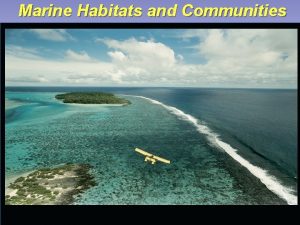 Marine Habitats and Communities Main Concepts Marine Habitats