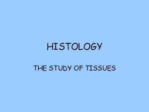 HISTOLOGY THE STUDY OF TISSUES TISSUES Organization of