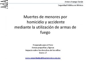 Arturo Arango Durn Seguridad Pblica en Mxico Muertes