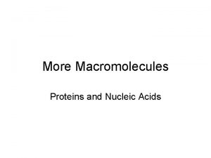 More Macromolecules Proteins and Nucleic Acids Nucleic Acids