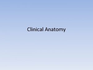 Clinical Anatomy Buccal Nerve Block Anterior branch of