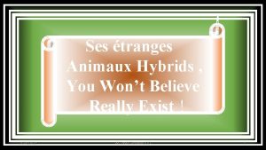 Ses tranges Animaux Hybrids You Wont Believe Really