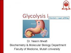 Glycolysis I Glycolysis sugar splitting Dr Nesrin Mwafi