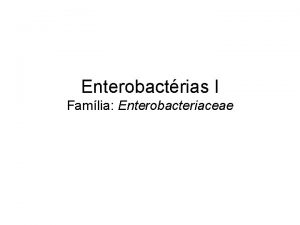 Enterobactrias I Famlia Enterobacteriaceae Caractersticas da famlia Anaerbios