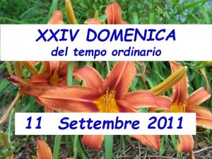 XXIV DOMENICA del tempo ordinario 11 Settembre 2011