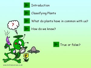 Introduction Classifying Plants What do plants have in