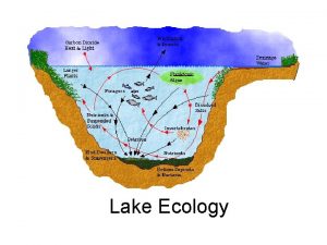 Lake Ecology Nature of Lakes Lakes are enclosed