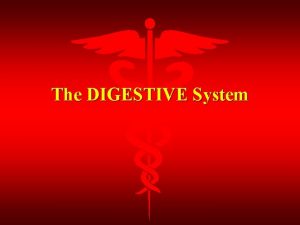 The DIGESTIVE System Digestion The breaking down of