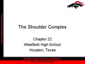 The Shoulder Complex Chapter 22 Westfield High School