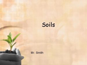 Soils Mr Smith Importance of soils Plants grow