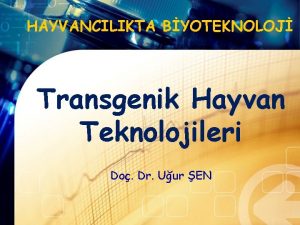 HAYVANCILIKTA BYOTEKNOLOJ Transgenik Hayvan Teknolojileri Do Dr Uur
