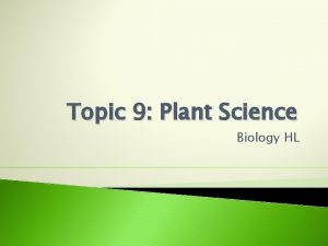 Topic 9 Plant Science Biology HL Leaves Kinda