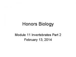 Honors Biology Module 11 Invertebrates Part 2 February