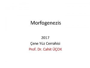 Morfogenezis 2017 ene Yz Cerrahisi Prof Dr Cahit