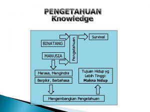 BINATANG MANUSIA Merasa Mengindra Berpikir Berbahasa Pengetahuan PENGETAHUAN