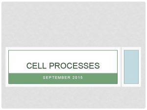 CELL PROCESSES SEPTEMBER 2015 CELL PROCESSES A CELL