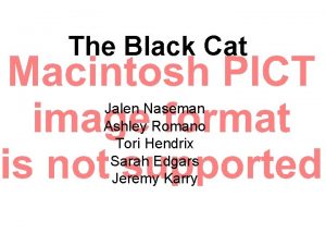 The Black Cat Jalen Naseman Ashley Romano Tori